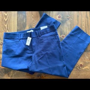 NWT LOFT Women’s Riviera Pant